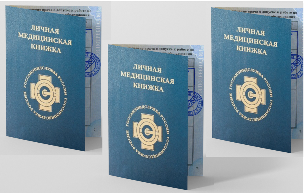 пройти санкнижку екб